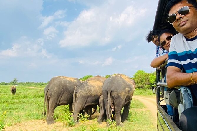 Udawalawe National Park Half Day Jeep Safari (Private Tour) - Additional Information