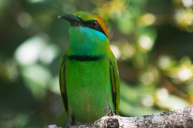 Udawalawe National Park | Private Safari Tour - The Sum Up