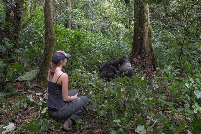 Uganda: 10-DAY Mid-Range Wildlife, Big-Five, Gorilla Safari - Wildlife and Big-Five Highlights