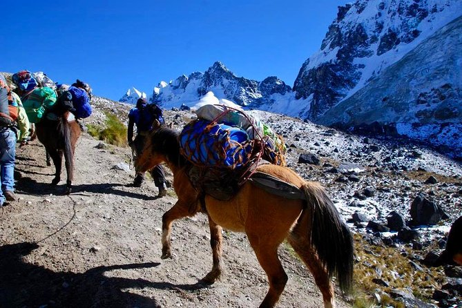 Ultimate Machu Picchu: Trek the Salkantay Trail to Machu Picchu - Booking Process and Pricing