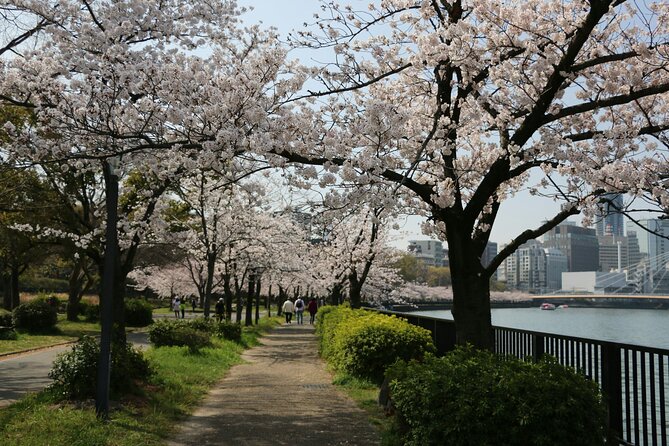 Ultimate Private Osaka Walking Experience - Walk With a Local - Accessibility and Fitness Level