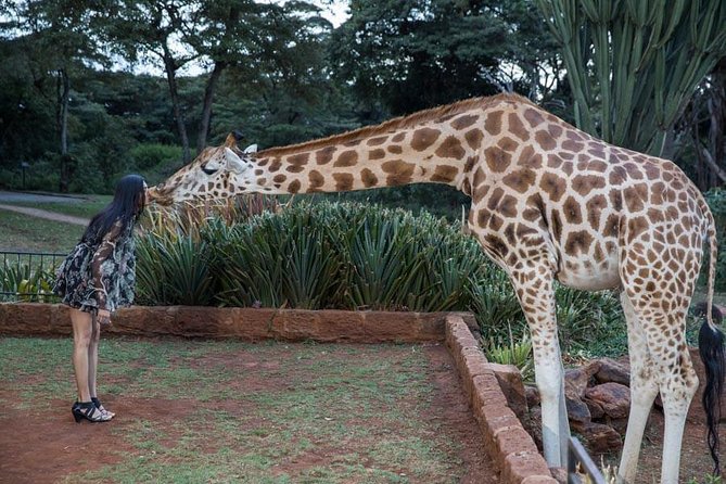Vacation Photographer in Nairobi - Location