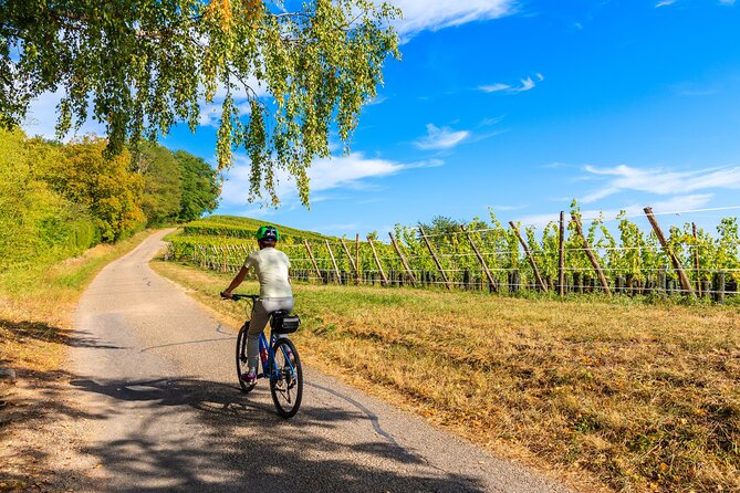 Valdobbiadene 2 Days Between Wine, Food and Culture - The Sum Up