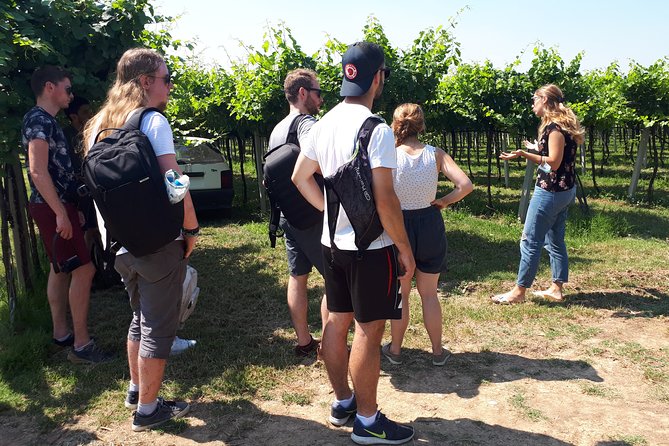 Valpolicella Bike Tour From Verona - Meeting Point Information