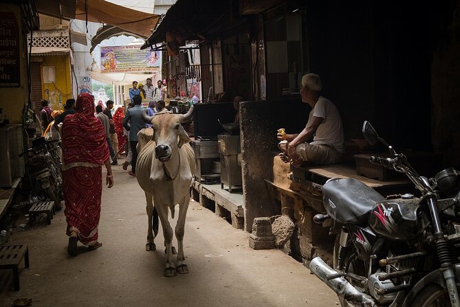 Varanasi Photography Tour With Lunch - The Sum Up