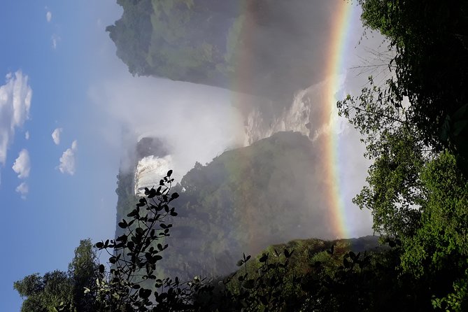 Victoria Falls Guided Tour Zambia - What to Expect During the Tour