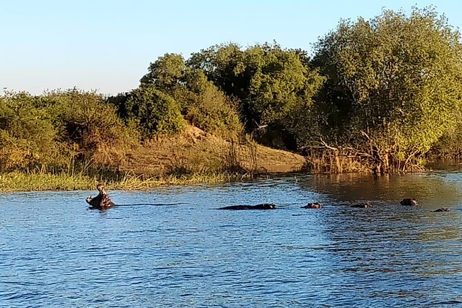 Victoria Falls: Standard Sunset Cruise on the Zambezi River - Tips for a Memorable Cruise