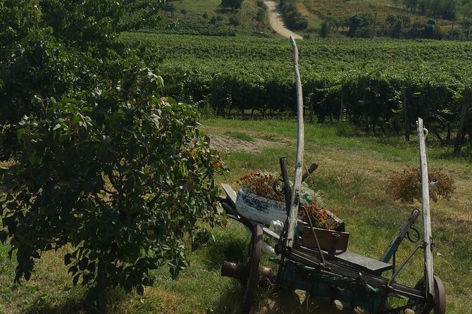 Vineyards and Wine Tasting Experience - Directions