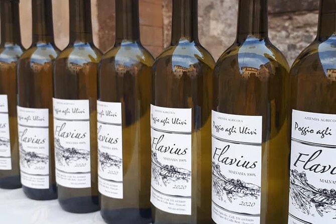 Vineyards With Wine and Food Tasting in Frascati From Rome - Frascati Vineyard Excursion