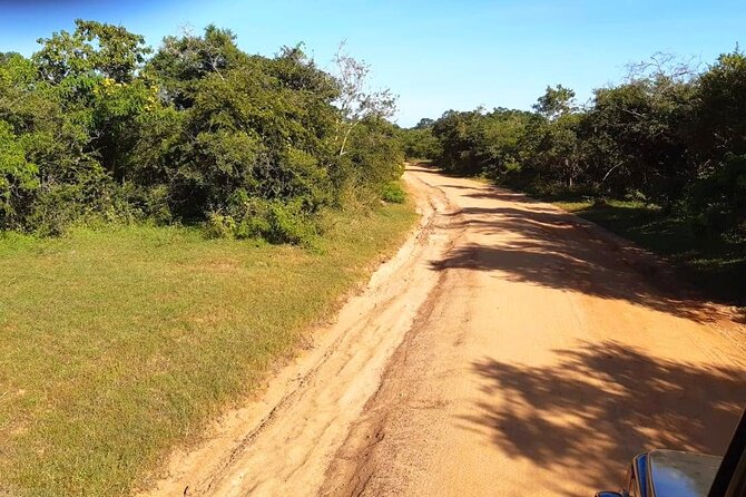 Visit Ella and Yala Safari - 02 Days, All Inclusive - Additional Information to Note