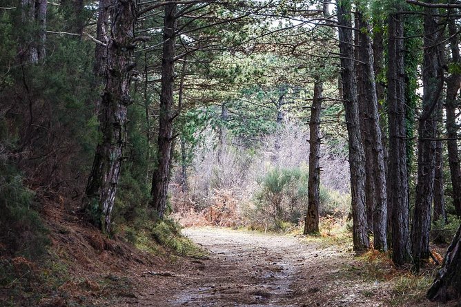 Vrmac Hiking Tour - Booking Information