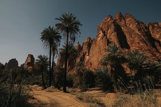 Wadi Al Disah Full Day Tour With Hotel Pickup - Inclusions and Exclusions