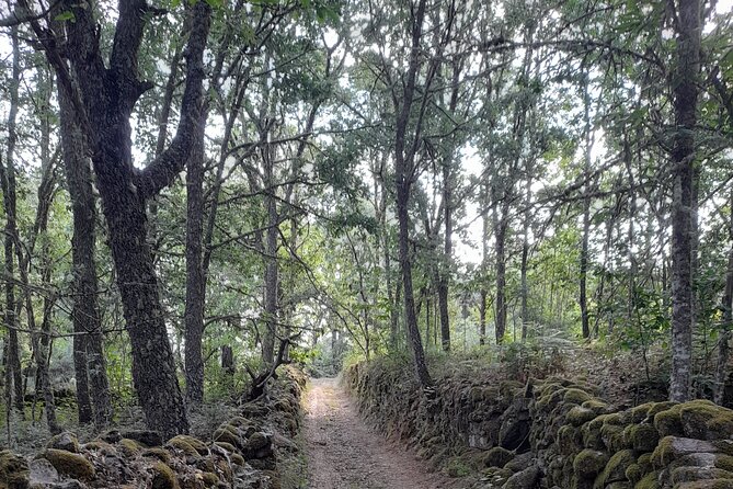 Walking Tour Through Sabugal: Stories and Charms of the Côa River - Tour Highlights
