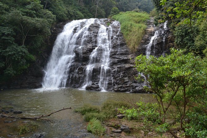 Wayanad Wildlife Heaven From Bangalore - Cancellation Policy and Refunds
