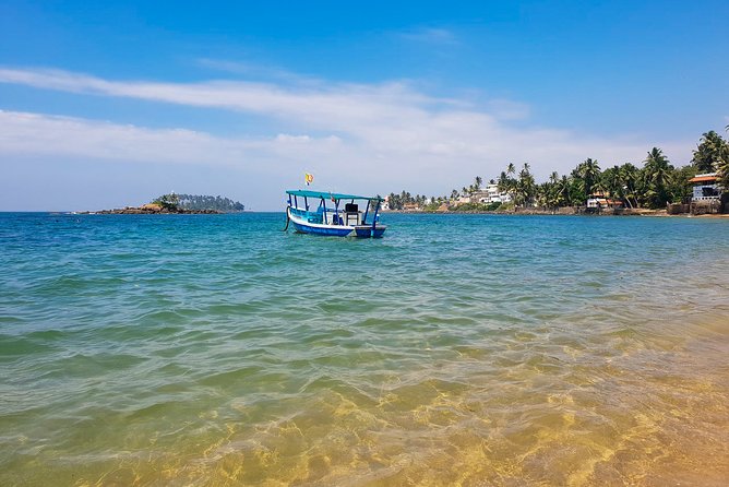 Whale Watching Boat Tour From Ahungalla - Operator Information