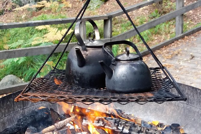 Wildfood From the Forest - Meeting Point and Logistics
