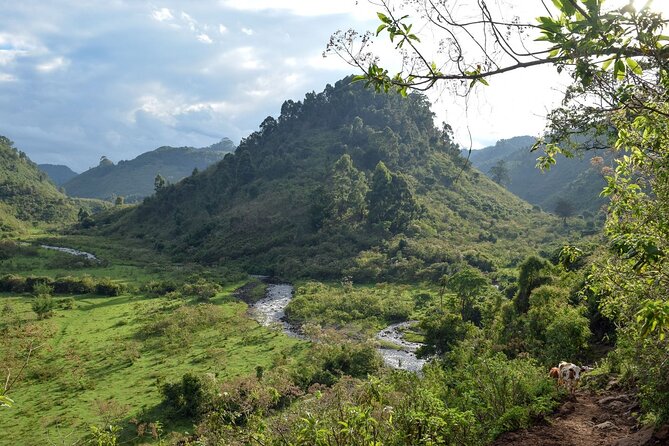 Wildlife Adventures of Central Kenya - The Sum Up