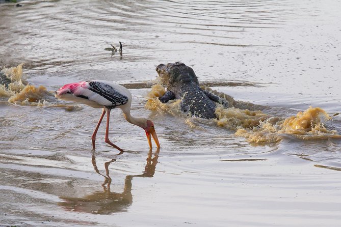 Wildlife of Sri Lanka (10 Days) - Frequently Asked Questions