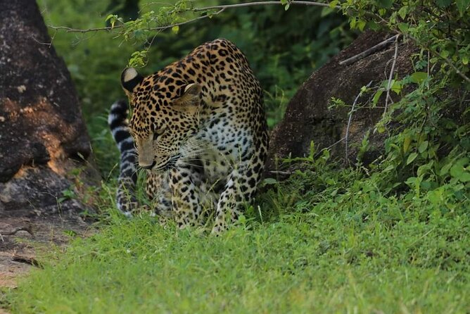 Wilpattu National Park Excursion - Cancellation Policy