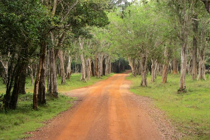 Wilpattu Safari Drive From Trincomalee, Nilaveli & Suburbs - Booking Process and Guarantee