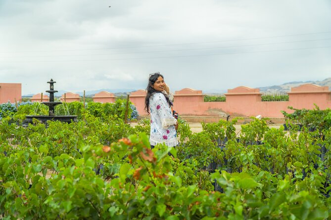 Wine and Pisco Experience From Ica or Huacachina - Accessibility Considerations