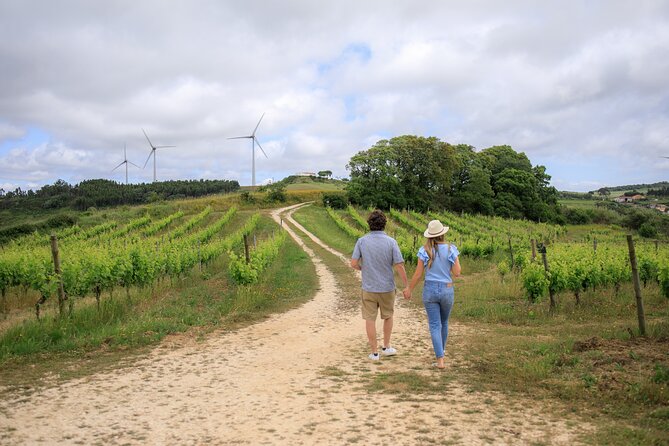 Wine Tasting and Photo Shoot at a Lisbon Winery - Pricing Information