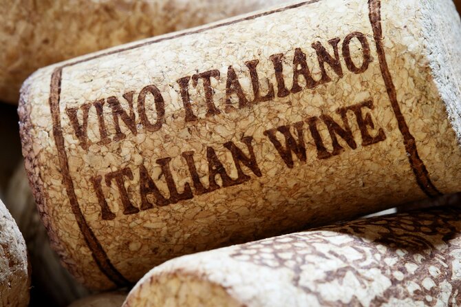 Wine Tasting & Food Pairing: Private Tour of Rome With Pick-Up - Operator Information