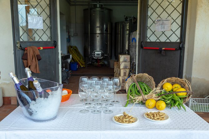 Wine Tasting in Campi Flegrei From Naples - Additional Information