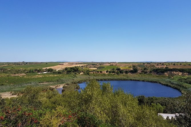 Wine Tasting of the Mazara Del Vallo Nature Reserve - Operator: Wonderful Italy Experiences
