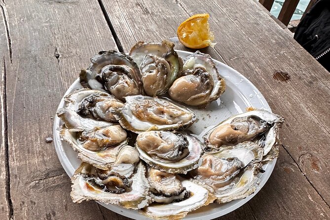 Wine Tasting - Pelješac - Ston - Oysters Tasting -Authentic Lunch - Transport and Logistics
