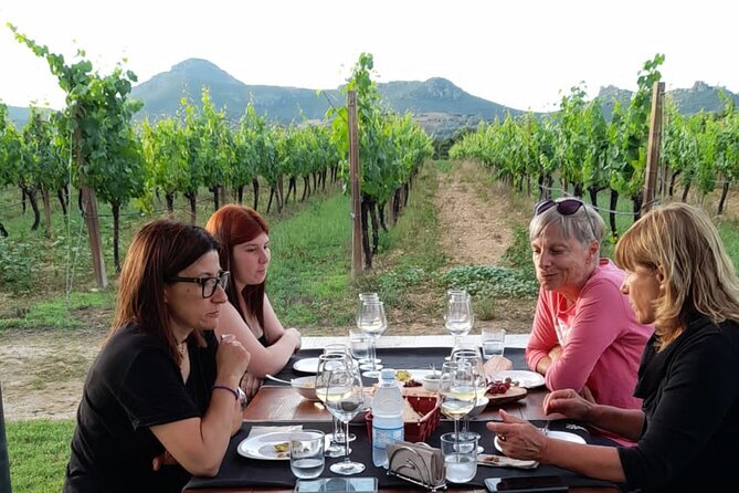 Wine Tasting With Local in the Vineyard in Alghero - Booking Process and Policies
