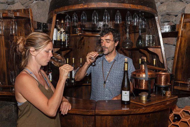 Wine Tour in Pico Half Day - Logistics Details