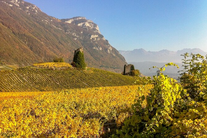 Wine Tour With Private Driver From Chamonix - Booking Process