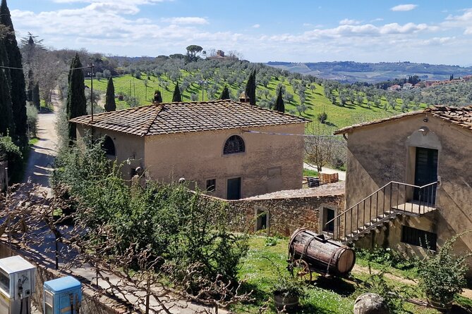 Wine Tours Chianti Classico All Inclusive Lunch & Wines 4 Hours - Booking Details