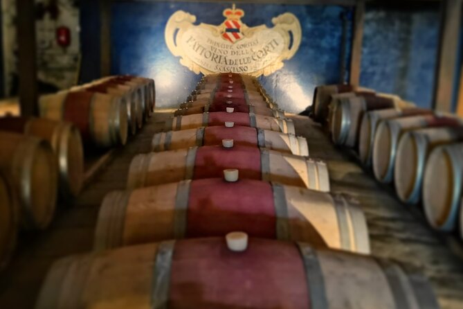 Wine Tours in Tuscany Chianti Vineryes All Inclusive - Operator Details