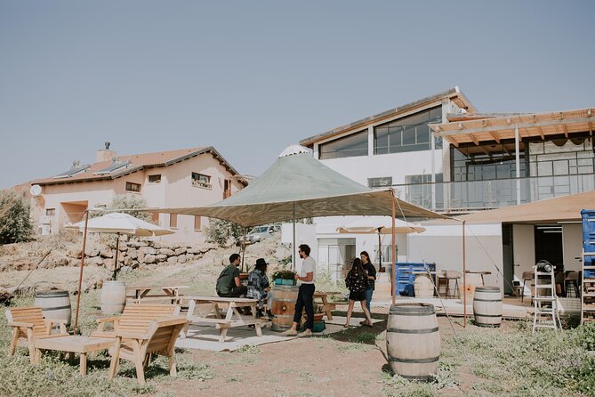 Wineries Tour In The Golan Heights With A Local Sommelier - Vineyard Walk