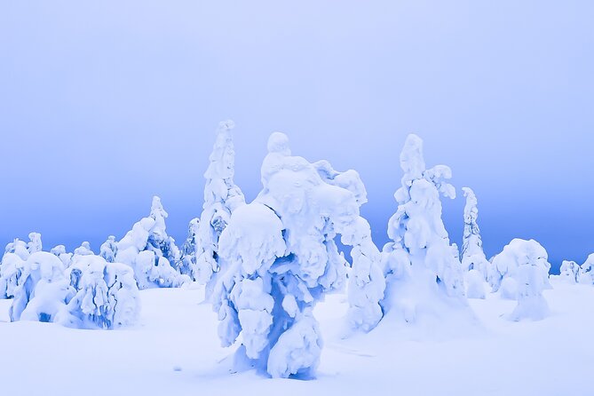 Winter Wonderland Hiking