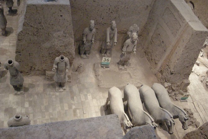 Xian Xianyang Airport (XIY) Pick up and Terracotta Warriors Museum Day Tour - Accessibility