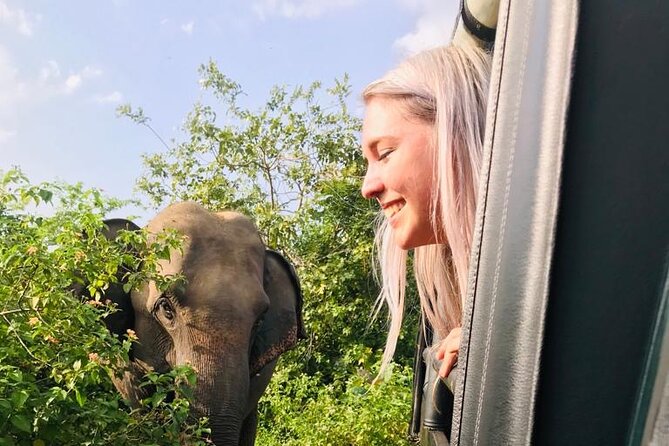 Yala National Park Jeep Safari With an Expert Of Wildlife - Pricing and Lowest Price Guarantee
