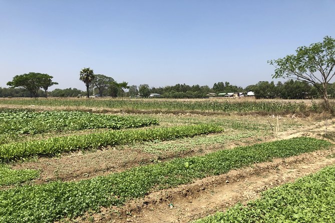 Yangon Outskirts - Rural Life Experience - Frequently Asked Questions