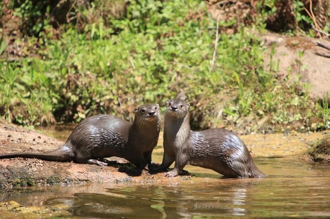 Yungas and El Rey National Park 4×4 Full Day Tour From Salta