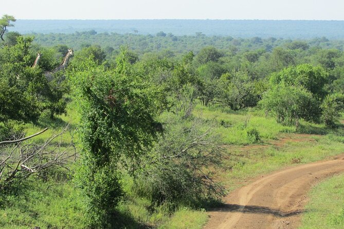 Zambezi National Park Game Drive – Victoria Falls