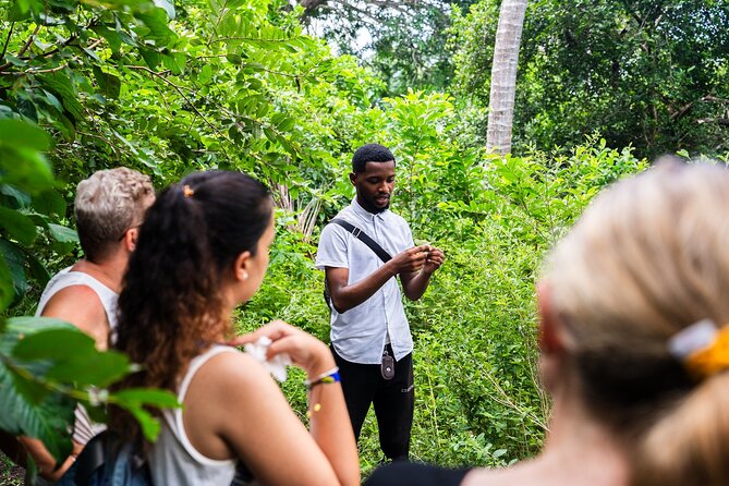 Zanzibar Tour of Jozani Forest and the Rock Restaurant - Pickup Points