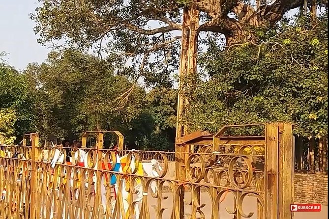 Ziarah Buddha 9 Nights 10 Days Trip by Private Car - Guide Services Provided