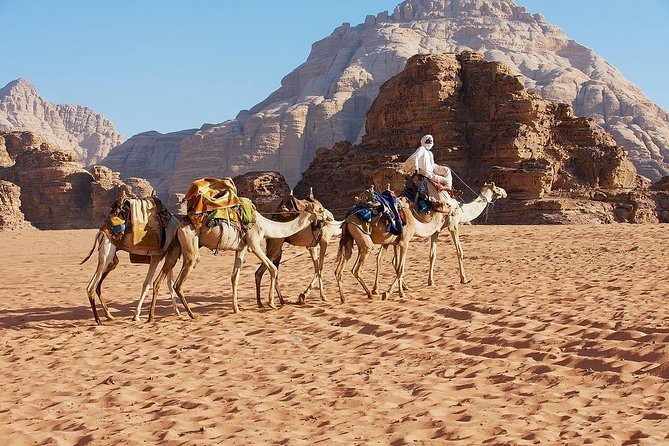 6 Day 5 Night Jordan Tour - Tour Highlights