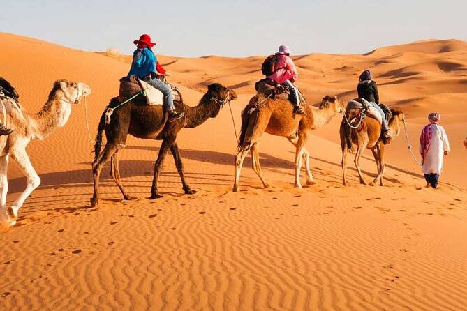 6 Day Combined High Atlas Mountains & Sahara Desert Trek From Marrakech - Good To Know