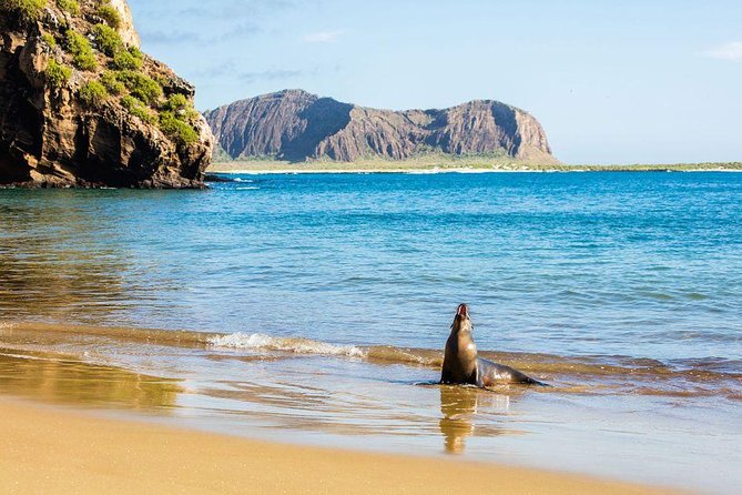 6-Day Galapagos Adventure Hiking Diving Snorkeling - Good To Know