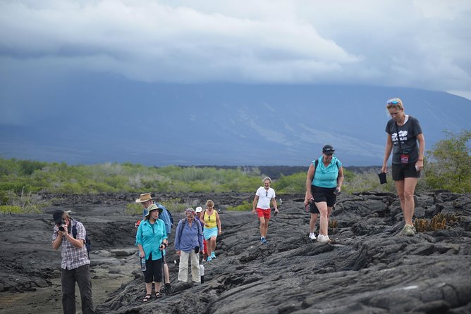 6-Day Galapagos Islands Plus Bike, Kayak, Hike, Snorkel - Good To Know