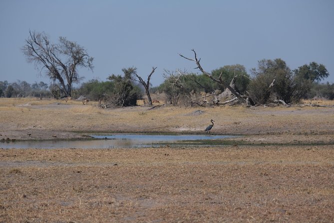 6 Day Walking Safari Botswana