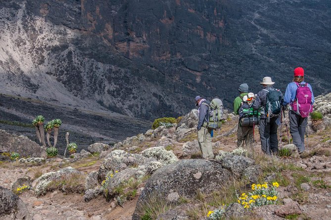 6 Days Kilimanjaro Trek – Umbwe Route - Good To Know